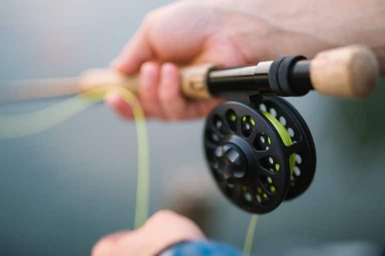 Quelle est la meilleure canne à pêche en 2020 pour la pêche à la carpe ?