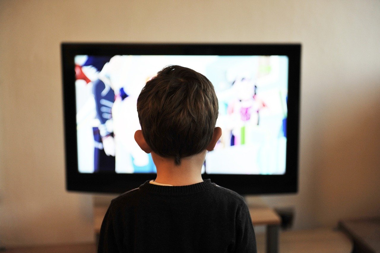 Comment regarder un programme TV sur ordinateur ?